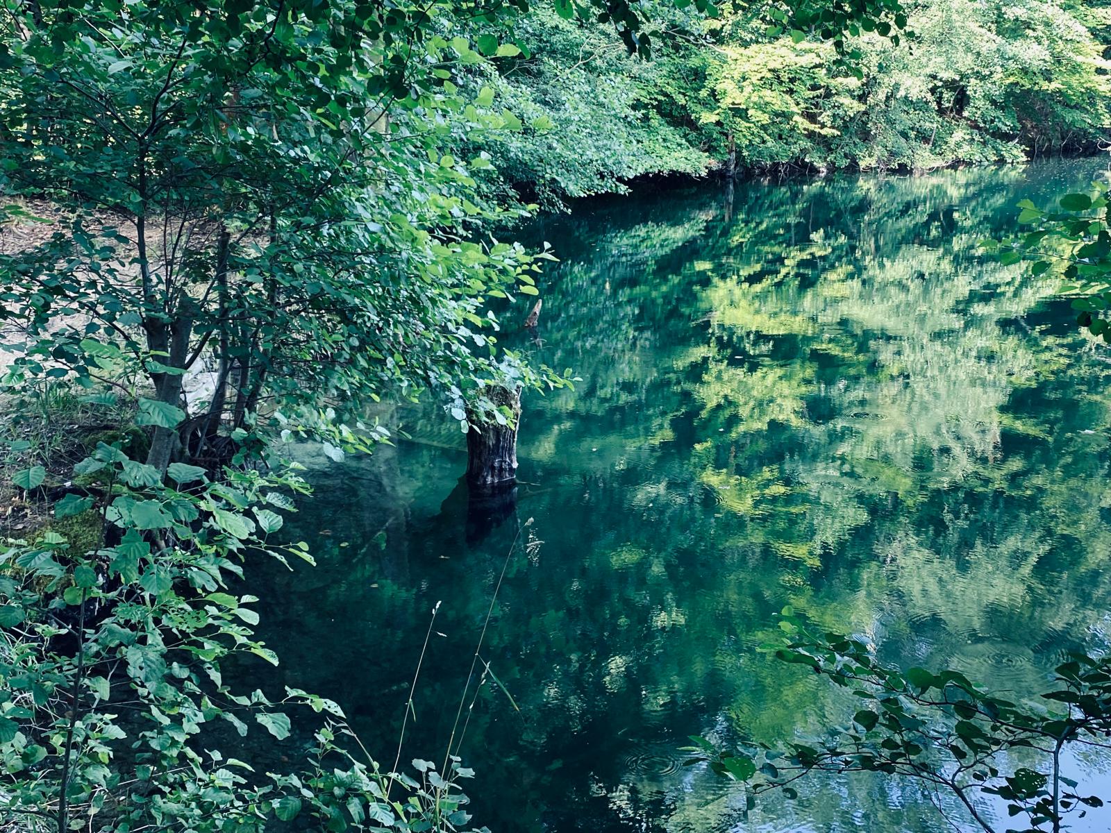 Kleiner Einblick in das Steinbruch Wasser vom Ufer aus.