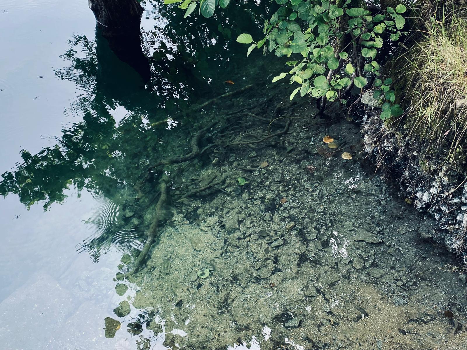 klares Wasser im Steinbruch